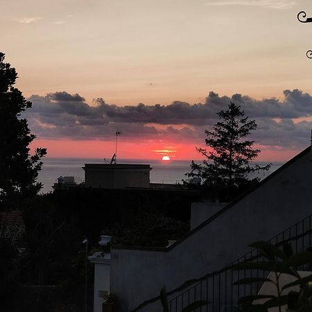Ipazia Capri Acomodação com café da manhã Anacapri  Exterior foto